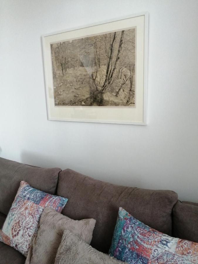 Zlatiborski Konaci K15 Dış mekan fotoğraf
